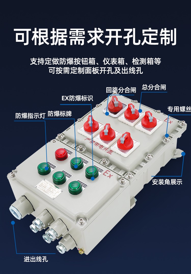 防爆动力配电箱BXD