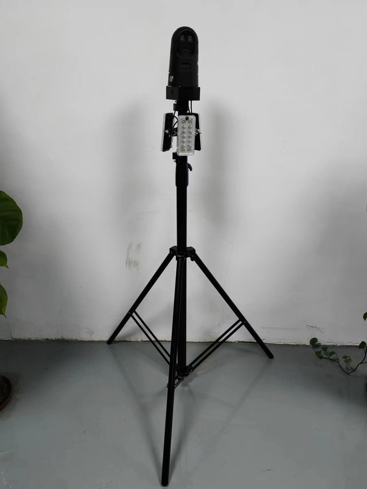 BJQ6200.jpg
