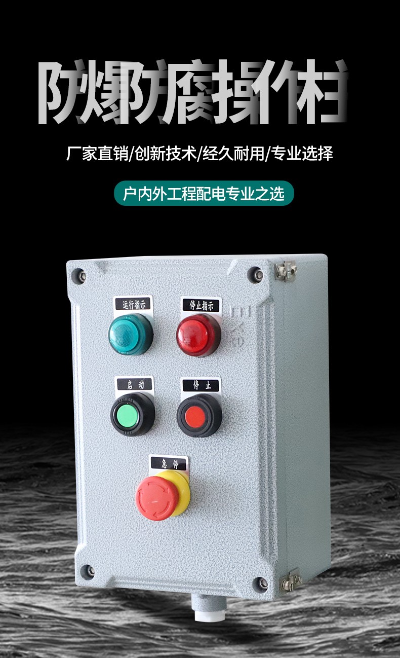 BZC51-B2D2R1G防爆操作柱