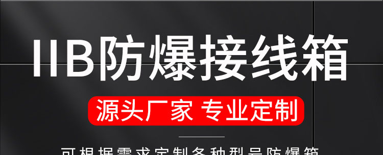 BJX不锈钢防爆接线箱